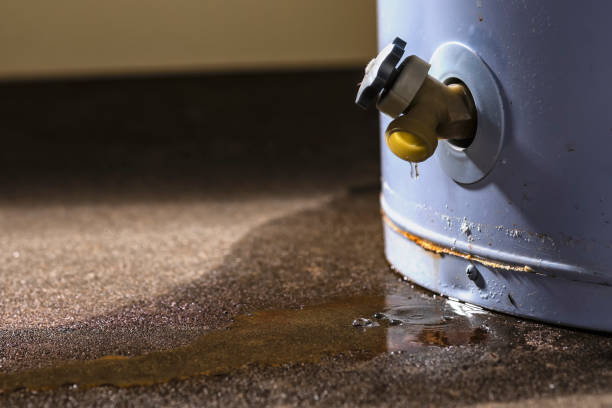 Best Flooded house restoration  in Oakville, MO