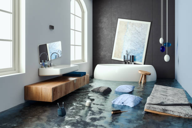 Best Local water damage restoration  in Oakville, MO