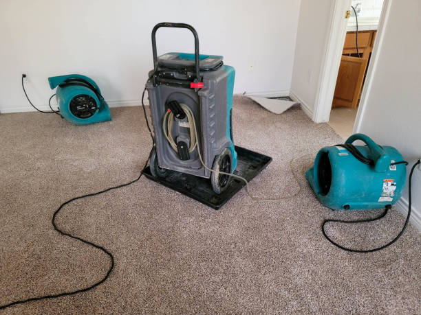 Best Water damage contractors near me  in Oakville, MO