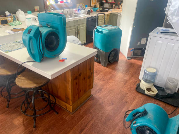 Best Water damage restoration near me  in Oakville, MO