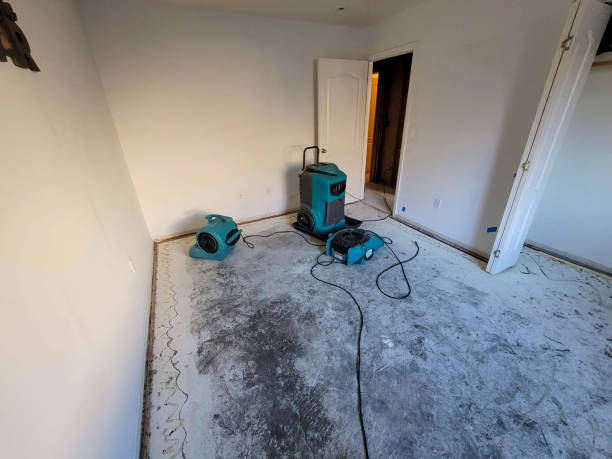 Best Sewage cleanup and water damage restoration  in Oakville, MO