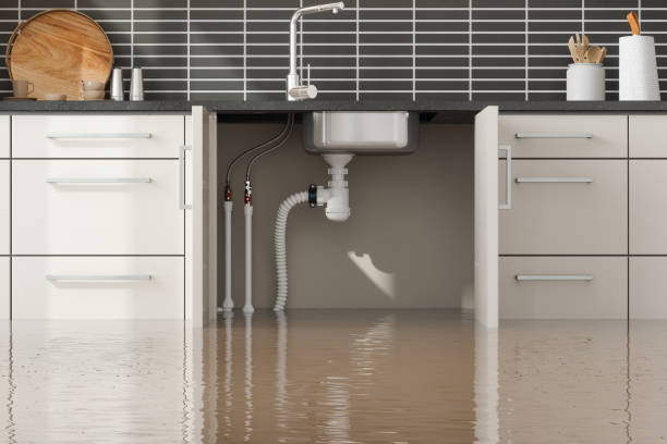 Best Local water damage restoration  in Oakville, MO