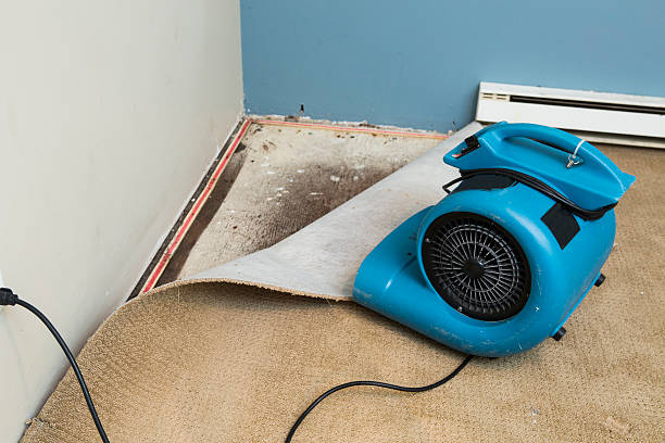 Best Water damage restoration company  in Oakville, MO